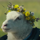A lamb/human hybrid wearing a crown of flowers not unlike the May Queen's crown from Midsommar.